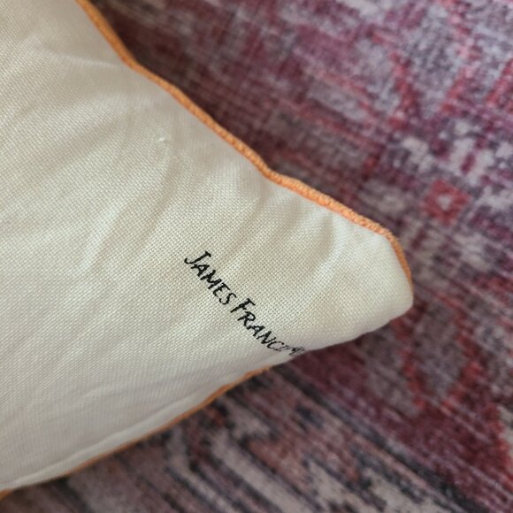 CB2 chicken pillow cover 16"x16" - Picture 4 of 7